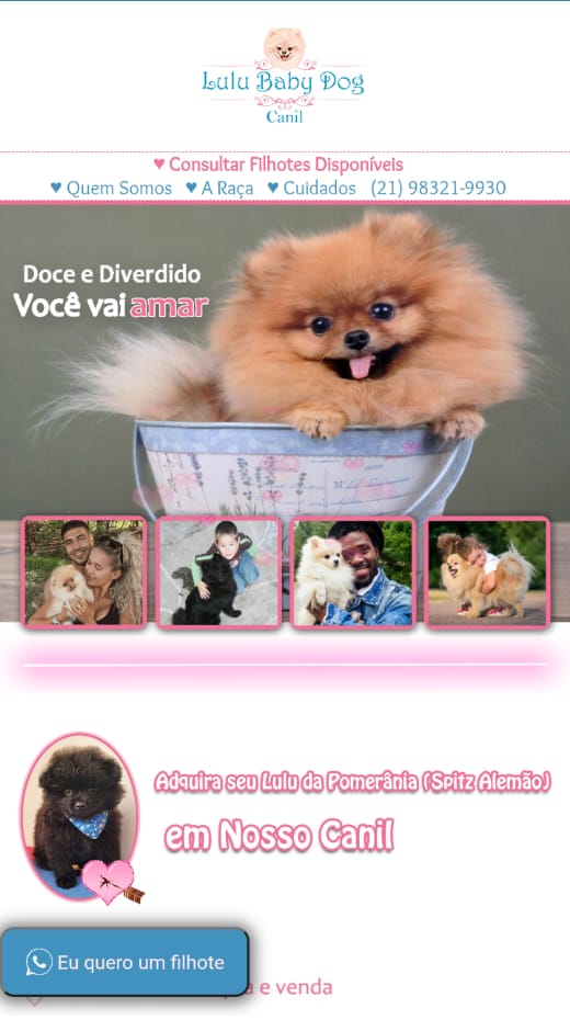 criação de sites no rio de janeiro, criação de sites rio de janeiro